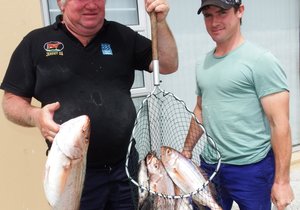 Koeël is deur die vis